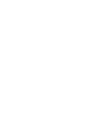 Asset 4